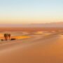 Panoramic view of Egyptian desert landscape with mountains and oasis, showcasing Egypt ecotourism natural beauty