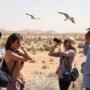 Tourists observing wildlife in a protected area in Egypt, demonstrating principles of ecotourism
